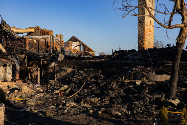 Reliable Odor Removal contractor in Clifton, AZ by Fire Damage Doption