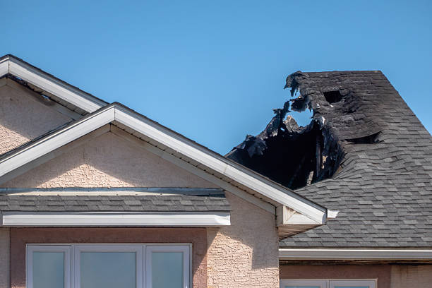 Top rated local Odor Removal specialists in Clifton, AZ